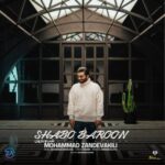 دانلود آهنگ شب و بارون محمد زندوکیلی