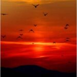 دانلود آهنگ یه روزی تنگ غروب آسمون صادق بوقی