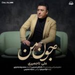 دانلود آهنگ جون من علی تاجمیری