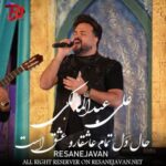 دانلود آهنگ حال دل تمام عاشقارو عشق است علی عبدالمالکی