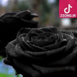 دانلود آهنگ الهه ابره پاره پاره دانلود آهنگ الهه ابره پاره پاره