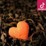 دانلود آهنگ الهه رفته / بعد تو نیامد چه ها که بر سر من