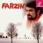 دانلود آهنگ فرزین معشوقه / شدم عاشقت اما ندونستی چی میخوام چی آرزومه ندونستی