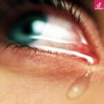 دانلود آهنگ اشک فتانه دانلود آهنگ اشک فتانه