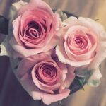دانلود آهنگ نگران نباش هنگامه