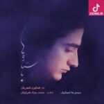 دانلود آهنگ همایون شجریان با ستاره ها / شب که می‌ رسد از کناره‌ها گریه می‌کنم با ستاره‌ها