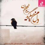 دانلود آهنگ دل من میگیرد همایون شجریان
