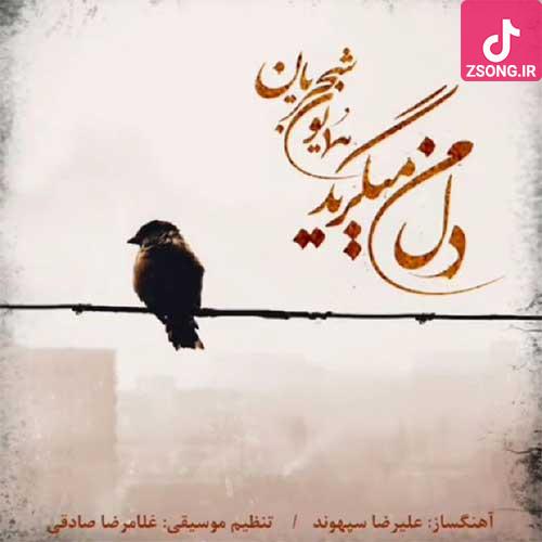 دانلود آهنگ دل من میگیرد همایون شجریان