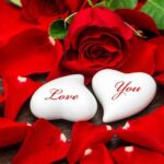 دانلود آهنگ همزبونم باش حمیرا