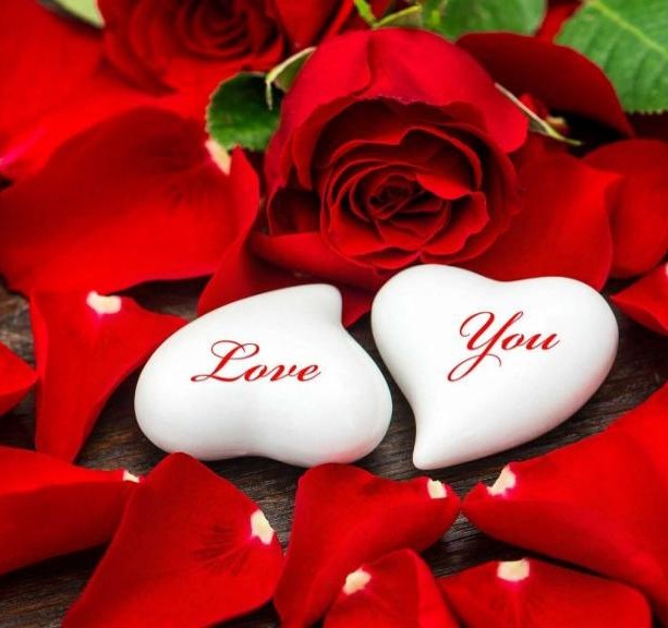 دانلود آهنگ همزبونم باش حمیرا