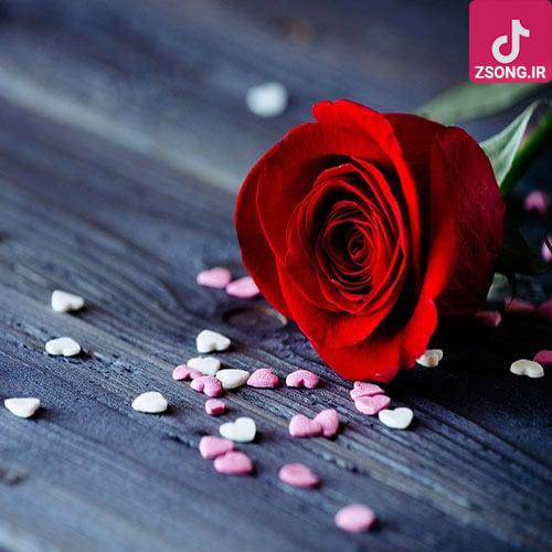 دانلود آهنگ قدیما لیلا فروهر