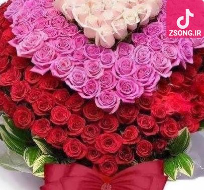 دانلود آهنگ آواز دل مرضیه