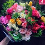 دانلود آهنگ نوش آفرین پیچک / تو فقط بگو كه عاشقت منم تا ابد تو رو پرستش بكنم