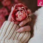 دانلود آهنگ ستین چه میشد / اگر مثل من ساده بودی چه می شد