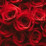 دانلود آهنگ بی یار ماییم شکیلا