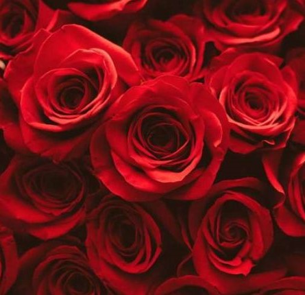 دانلود آهنگ بی یار ماییم شکیلا