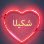 دانلود آهنگ من غلام قمرم شکیلا