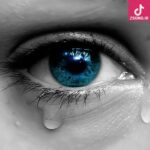 دانلود آهنگ شهره گریه ممنوع ممنوع غصّه ممنوع به خوشی بگید بیاد تو دانلود آهنگ شهره گریه ممنوع ممنوع غصّه ممنوع به خوشی بگید بیاد تو