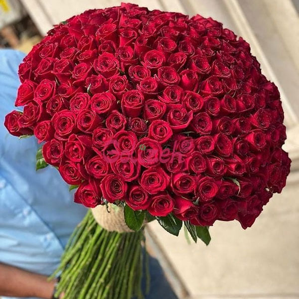 دانلود آهنگ داد نزن سوگند