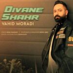 دانلود آهنگ  وحید مرادی اگه بوری دیوانه ی شهر وومه دیوانه بیمه دیوانه تر وومه
