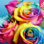 دانلود آهنگ دلکش بس کن دانلود آهنگ دلکش بس کن