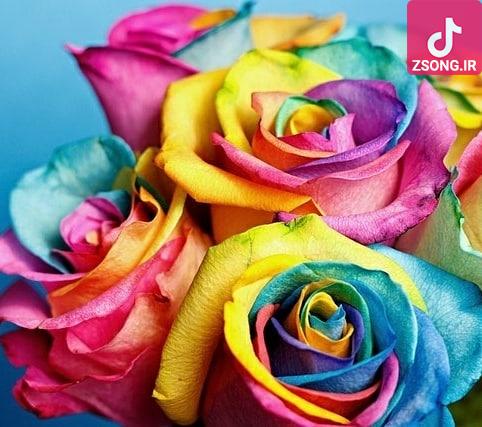دانلود آهنگ دلکش بس کن
