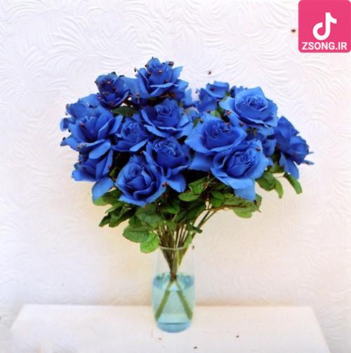 دانلود آهنگ دلکش ساقی امشب ما را دیوانه کردی ما را بی خود از یک پیمانه کردی