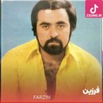 دانلود آهنگ فرزین جوونی / تو مست مست خویشی غریبه و درویشی