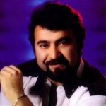 دانلود آهنگ مسافر فرزین
