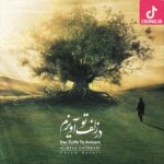دانلود آهنگ علیرضا قربانی در زلف تو آویزم / بیم است که سودایت دیوانه کند ما را