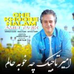 دانلود آهنگ  امیر تاجیک چه خوبه حالم