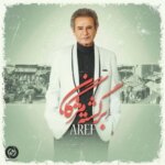 دانلود آهنگ عارف برگشته مژگان / رفتی ای برگشته مژگان تا تبه این عشق سوزان