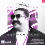 دانلود آهنگ بهنام بانی شب عشق / اومدم با دلم به دلت پا بدم همه دنیا برن با تو خوبه تنهام دانلود آهنگ بهنام بانی شب عشق / اومدم با دلم به دلت پا بدم همه دنیا برن با تو خوبه تنهام