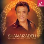 دانلود آهنگ حسن شماعی زاده فهمیدم دوسم داری / از هول شدنت خندیدنت فهمیدم دوستم داری دانلود آهنگ حسن شماعی زاده فهمیدم دوسم داری / از هول شدنت خندیدنت فهمیدم دوستم داری