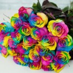 دانلود آهنگ هلن انرژی / بهم بگو کجای زندگیتم بهم بگو چقد واست عزیزم
