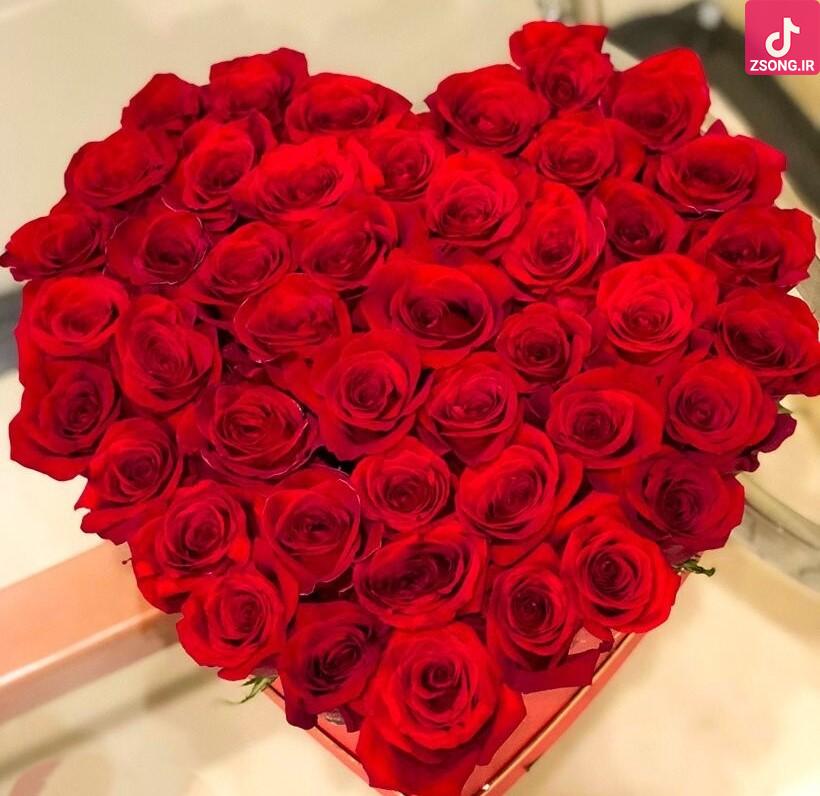 دانلود آهنگ هلن یادت نره / اشک های من یادت بیاد