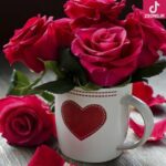 دانلود آهنگ هنگامه بهونه / نمی دونن تو بهونه منی معنی شعرهای عاشقونه ای