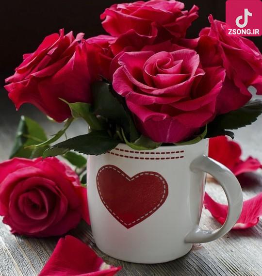 دانلود آهنگ هنگامه بهونه / نمی دونن تو بهونه منی معنی شعرهای عاشقونه ای
