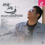 دانلود آهنگ حجت اشرف زاده برف بی صدا می بارد / آتش بزن جان مرا پروانه کن خاکسترم را