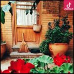 دانلود آهنگ حمیرا دل خونه / بیابی تو عزیزم دل من غصه داره نمیخوام توبدونی نگا هم گریه داره