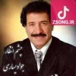 دانلود آهنگ جواد یساری چشم انتظار / میگه یک روز یکی از در میادش خبر از شهر رویاها میاره