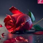 دانلود آهنگ لیلا فروهر بهانه / صدام کن، صدام کن، که بی تو تک و تنهام