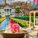 دانلود آهنگ لیلا فروهر راه شیراز / غم نخورم میرم و برمی گردم با تو سر می گردم