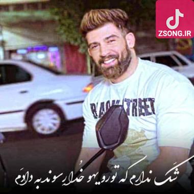 دانلود آهنگ  محمد محرمی شک ندارم که تورو یهو خدا رسوند به دادم