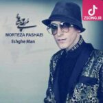 دانلود آهنگ مرتضی پاشایی عشق من جون من قلبم می لرزه می دونی نباشی دنیا نمی ارزه