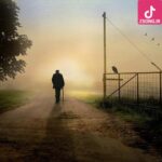 دانلود آهنگ نوش آفرین مسافر / دارم میام دارم میام به خونه مون به دیدن مردمه مهربونمون