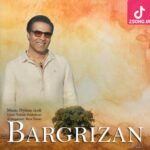 دانلود آهنگ امید برگ ریزان / تو هم مثل من بی قراره چشات میدونم دلت تا ابد با منه