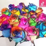 دانلود آهنگ پوران من چه کنم / دستت و بستن دل بی دستو پا پاتو شکستن چی میخوای بی نوا