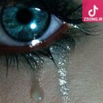 دانلود آهنگ پوران اشکم دونه دونه / دل من هنوز جوونه نکنه تنها بمونه توی این عهد و زمونه دانلود آهنگ پوران اشکم دونه دونه / دل من هنوز جوونه نکنه تنها بمونه توی این عهد و زمونه