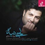 دانلود آهنگ پویا بیاتی بی جنبه / دلتنگم نذار چه میدونی دلتنگی چه کرده ….